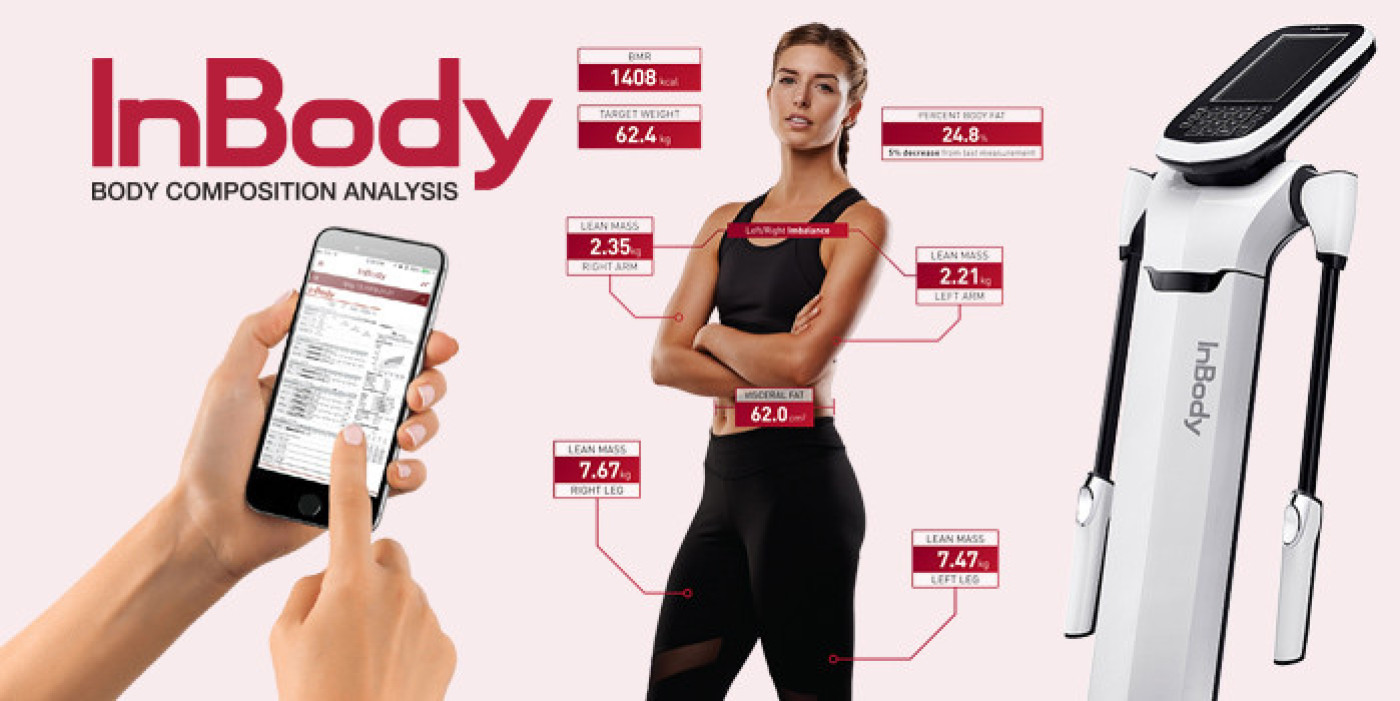Inbody body composition test Dublin